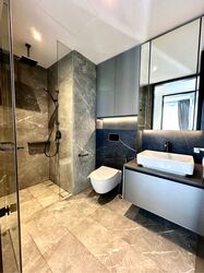 Irwell Hill Residences (D9), Apartment #620301741